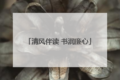 清风伴读 书润廉心