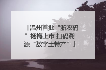 温州首批“浙农码”杨梅上市 扫码溯源“数字土特产”