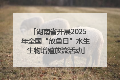 湖南省开展2025年全国“放鱼日”水生生物增殖放流活动