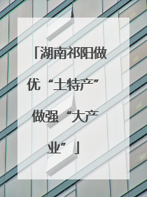 湖南祁阳做优“土特产” 做强“大产业”