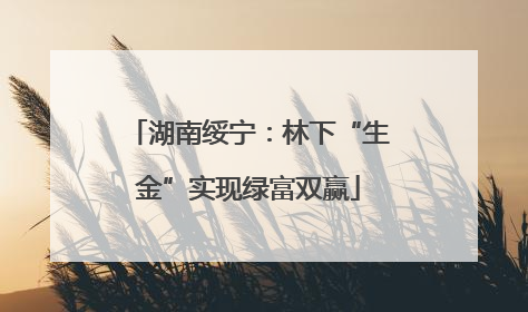 湖南绥宁：林下“生金”实现绿富双赢
