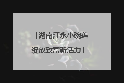 湖南江永小碗莲绽放致富新活力