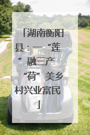 湖南衡阳县：一“莲”融三产 “荷”美乡村兴业富民