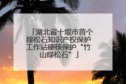 湖北省十堰市首个绿松石知识产权保护工作站硬核保护“竹山绿松石”