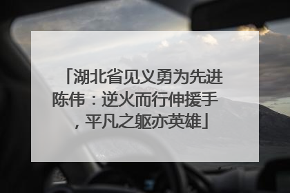 湖北省见义勇为先进陈伟：逆火而行伸援手，平凡之躯亦英雄