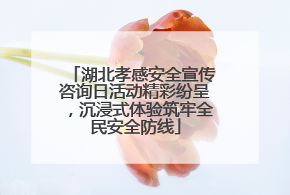 湖北孝感安全宣传咨询日活动精彩纷呈，沉浸式体验筑牢全民安全防线