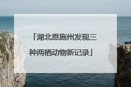 湖北恩施州发现三种两栖动物新记录