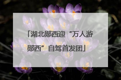 湖北郧西迎“万人游郧西”自驾首发团