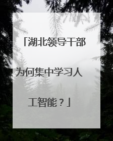 湖北领导干部为何集中学习人工智能？
