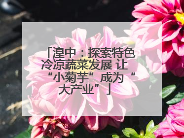 湟中：探索特色冷凉蔬菜发展 让“小菊芋”成为“大产业”