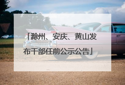 滁州、安庆、黄山发布干部任前公示公告