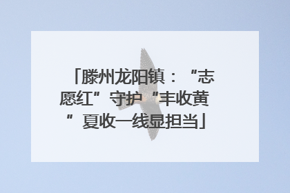 滕州龙阳镇：“志愿红”守护“丰收黄”夏收一线显担当
