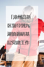 漳州高新区领导到九湖镇调研基层党建工作