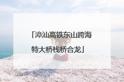 漳汕高铁东山跨海特大桥栈桥合龙