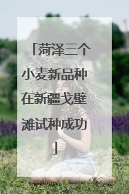 菏泽三个小麦新品种在新疆戈壁滩试种成功