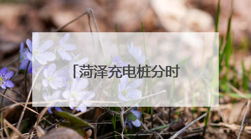 菏泽充电桩分时电价标准公布！