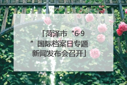 菏泽市“6·9”国际档案日专题新闻发布会召开