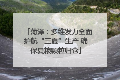 菏泽：多维发力全面护航“三夏”生产 确保夏粮颗粒归仓