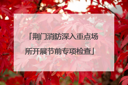 荆门消防深入重点场所开展节前专项检查