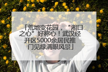 荒地变花园，“湘口之心”好称心！武汉经开区5000余居民推门见绿满眼风景