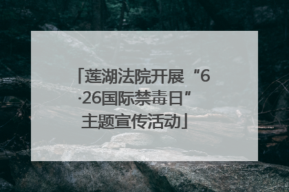 莲湖法院开展“6·26国际禁毒日”主题宣传活动