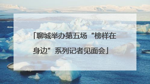 聊城举办第五场“榜样在身边”系列记者见面会