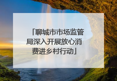 聊城市市场监管局深入开展放心消费进乡村行动