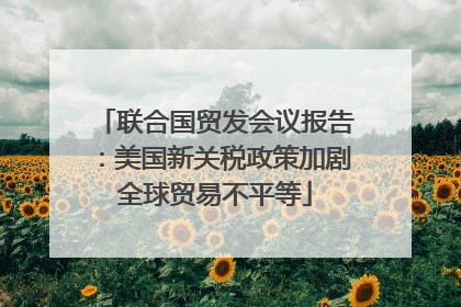 联合国贸发会议报告：美国新关税政策加剧全球贸易不平等