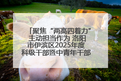 聚焦“两高四着力” 主动担当作为 洛阳市伊滨区2025年度科级干部暨中青年干部培训班开班