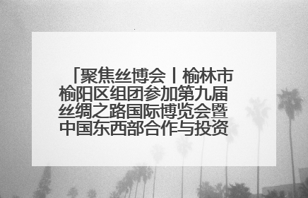 聚焦丝博会丨榆林市榆阳区组团参加第九届丝绸之路国际博览会暨中国东西部合作与投资贸易洽谈会