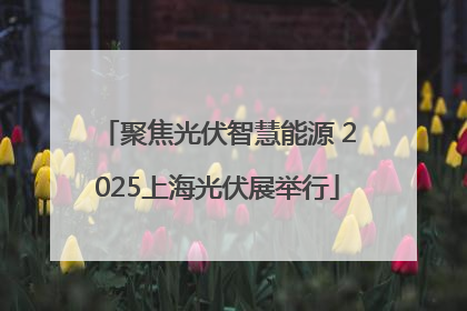 聚焦光伏智慧能源 2025上海光伏展举行