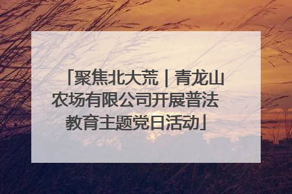 聚焦北大荒｜青龙山农场有限公司开展普法教育主题党日活动