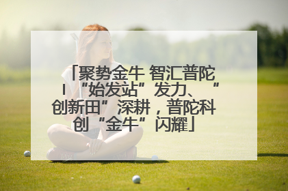 聚势金牛 智汇普陀〡“始发站”发力、“创新田”深耕，普陀科创“金牛”闪耀