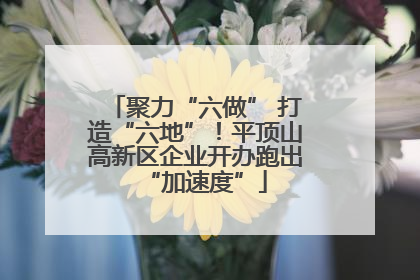 聚力“六做” 打造“六地”！平顶山高新区企业开办跑出“加速度”