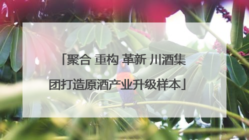 聚合 重构 革新 川酒集团打造原酒产业升级样本