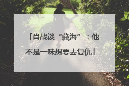 肖战谈“藏海”：他不是一味想要去复仇