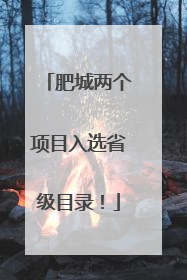 肥城两个项目入选省级目录！