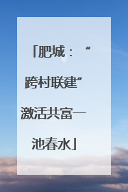 肥城：“跨村联建”激活共富一池春水