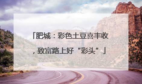 肥城：彩色土豆喜丰收，致富路上好“彩头”
