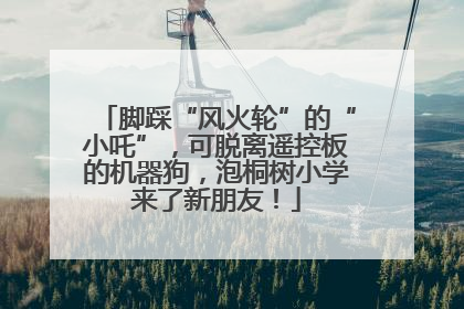 脚踩“风火轮”的“小吒”，可脱离遥控板的机器狗，泡桐树小学来了新朋友！