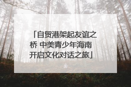 自贸港架起友谊之桥 中美青少年海南开启文化对话之旅
