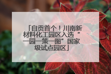 自贡首个！川南新材料化工园区入选“一园一策一图”国家级试点园区