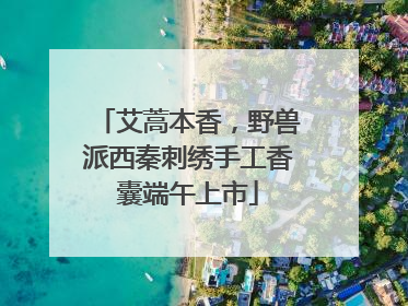 艾蒿本香，野兽派西秦刺绣手工香囊端午上市