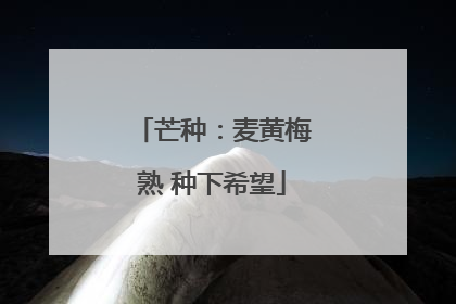 芒种：麦黄梅熟 种下希望