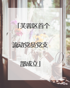 芙蓉区首个流动党员党支部成立