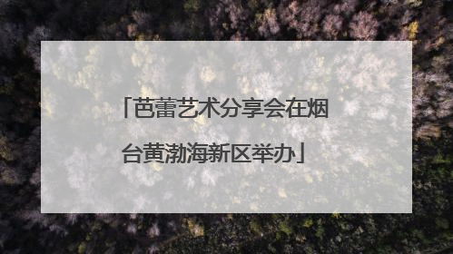芭蕾艺术分享会在烟台黄渤海新区举办