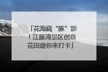 花海藏“豚”影！江豚湾景区创意花田邀你来打卡