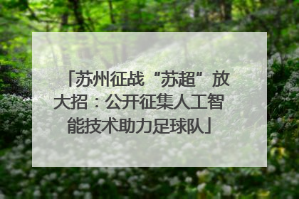 苏州征战“苏超”放大招：公开征集人工智能技术助力足球队