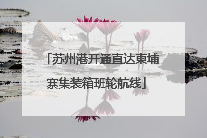 苏州港开通直达柬埔寨集装箱班轮航线