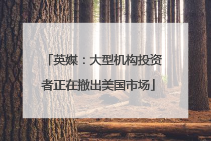 英媒：大型机构投资者正在撤出美国市场
